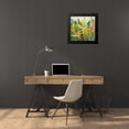thumbnail image 4 of Pinto, Patricia 20x20 Black Modern Framed Museum Art Print Titled - Bird of Paradise I, 4 of 5