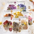 thumbnail image 3 of Yoksas Pressed Flower Wax Seal Stickers，320 Pieces Transparent Dried Flowers Resin Floral Botanical Stickers for Scrapbook Supplies Junk Bullet Journal Planner Laptops, 3 of 7