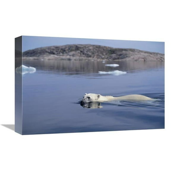 12 x 18 in. Polar Bear Swimming, Wager Bay, Canada Art Print - Flip Nicklin