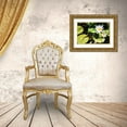 thumbnail image 3 of Underdahl, Dana 14x11 Gold Ornate Wood Framed with Double Matting Museum Art Print Titled - Blue Water Lily II, 3 of 4