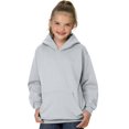 thumbnail image 1 of Hanes ComfortBlend EcoSmart Chandail à Capuchon pour Jeunes, TG, Cendre, 1 of 4
