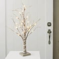 thumbnail image 1 of Lighted Branches Lighted Birch Tree 24 inch 24 Warm White LEDs Battery Operated, 1 of 1