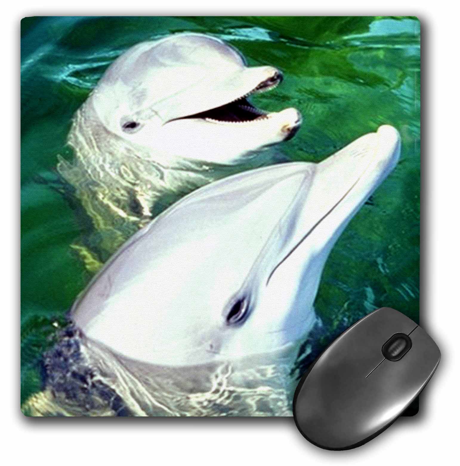 3dRose Bottlenose Dolphin, Mouse Pad, 8 by 8 inches