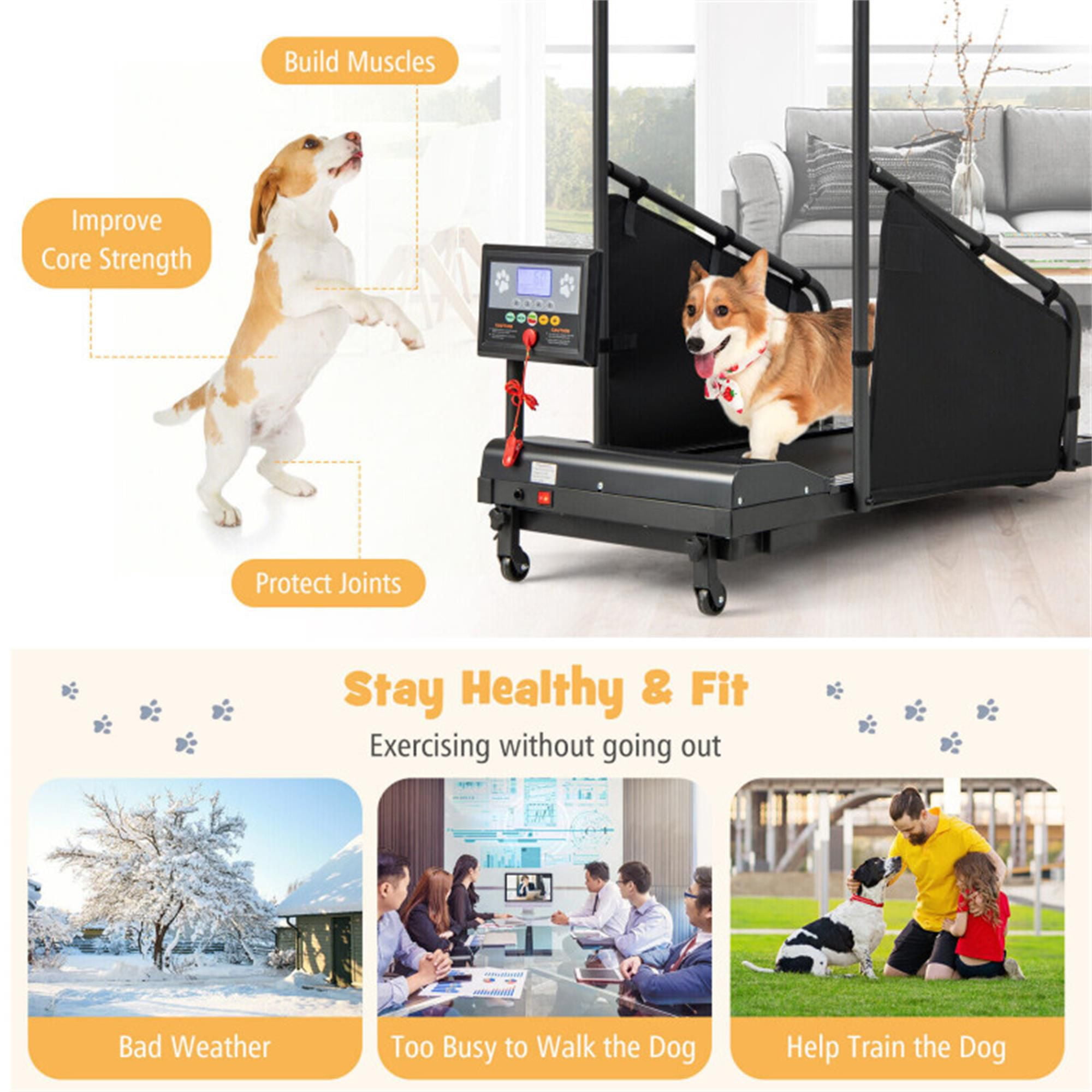Kadyn 47" Dog Treadmill for Small and Medium Dogs, Pet Training Treadmill for Dogs up to 130 lbs, Dog Pacer Treadmill Indoor Dog Running Machine, Black