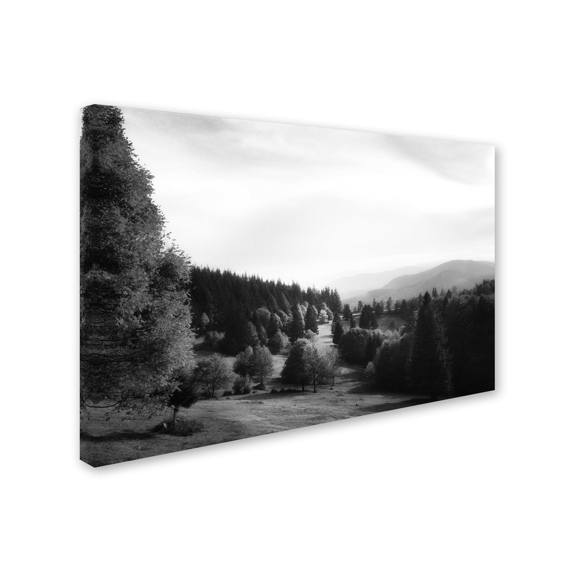 Trademark Fine Art "Spotlight" Canvas Art by Philippe Sainte-Laudy