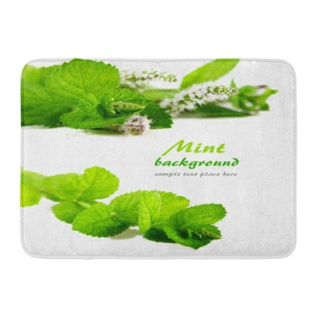 GODPOK Garden Herb Fresh Green Mint White Leaf Mojito Rug Doormat Bath Mat 23.6x15.7 (Best Way To Store Fresh Mint Leaves)
