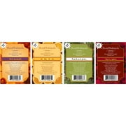 ScentSationals Holiday Spice - 4 Pack