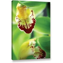Kathy Yates "Cymbidium Seafoam Emerald Orchid" Canvas Art