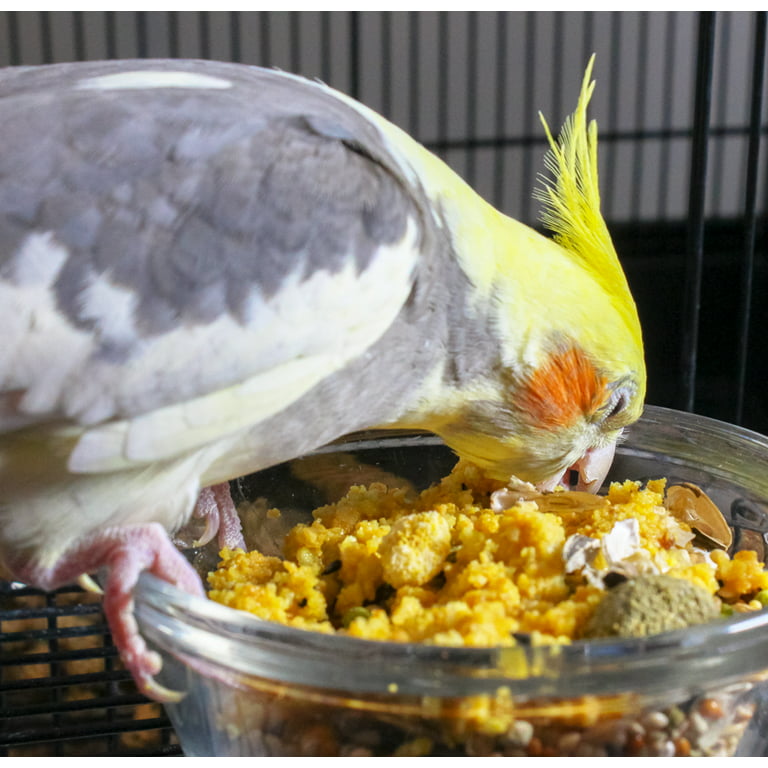 Quiko Classic - Nourriture à Base d'oeufs 1 kg - Nourriture concentrée & d'élevage  pour Toutes Les espèces d'oiseaux d'ornement : : Animalerie