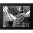 thumbnail image 2 of Goldstein, Ed 24x19 Black Modern Framed Museum Art Print Titled - Leaf Abstract V, 2 of 5