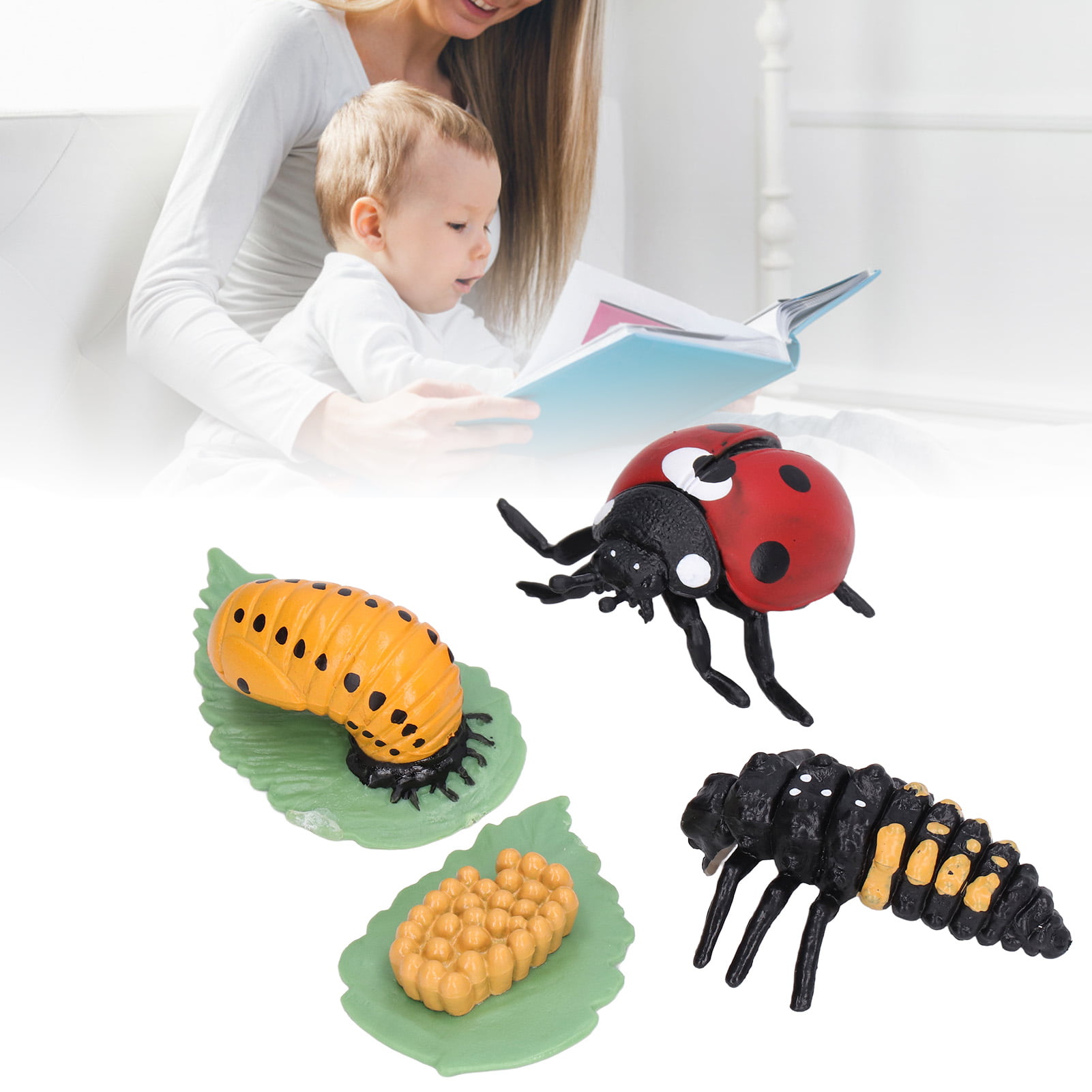 Insect growth Playset Devilfish Life Cycle Set Model Toy figures Learning & 