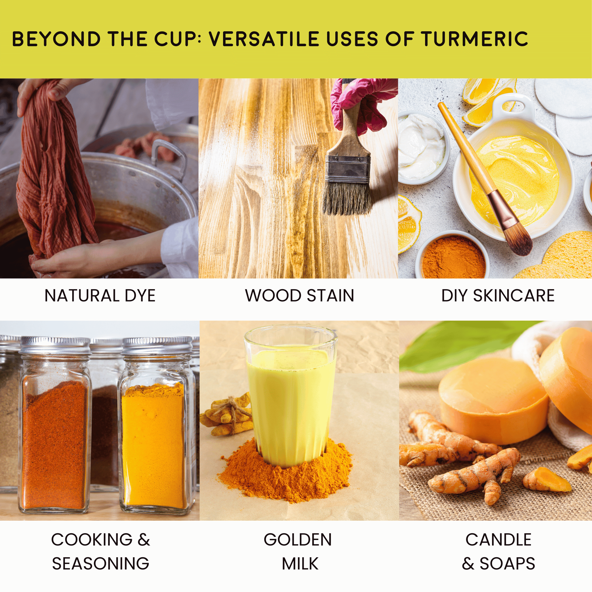 Turmeric Root - Organic Cut and Sifted  1 lb