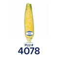 thumbnail image 7 of Fresh Sweet Corn on the Cob, Each, 7 of 7