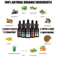 thumbnail image 4 of Isner Mile Juego de 5 aceites para barba, acondicionador sin enjuague, madera de cedro, sándalo, salvia, naranja dulce para hombres, bigotes, suaviza la fuerza hidratante, rellenos de medias, regalos, 4 of 8