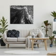 thumbnail image 2 of Stupell Industries Sky High Tree Looming Photograph Gallery Wrapped Canvas Print Wall Art, Design by Aaron Matheson, 2 of 7