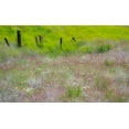 thumbnail image 2 of Gulin, Sylvia 24x16 White Modern Wood Framed Museum Art Print Titled - USA-Washington State-Benge Wooden post fence and grasses on rolling hills, 2 of 4