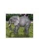 thumbnail image 1 of Estatua de elefante con la trompa hacia abajo de Figurine Hi-Line Gift Ltd, 1 of 1
