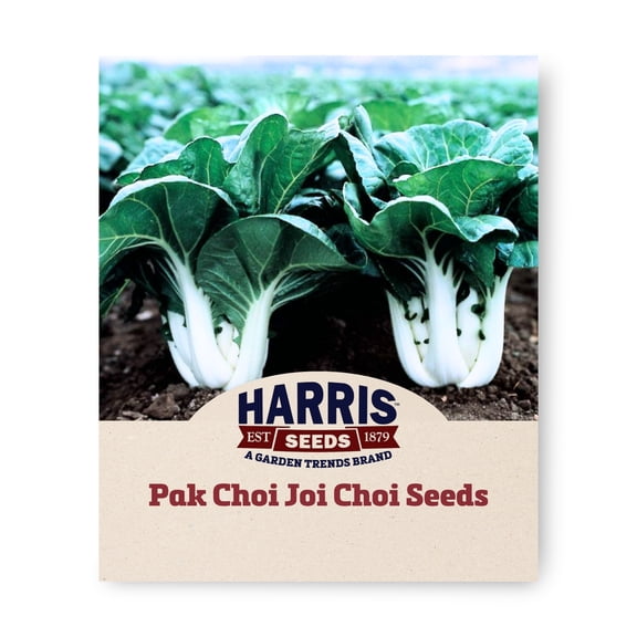 Harris Seeds Pak Choi Joi Choi F1, Hybrid Bok Choy Variety, Treated, 50 Count