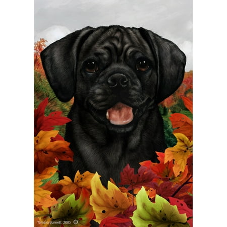 Puggle Black - Best of Breed Fall Leaves Garden