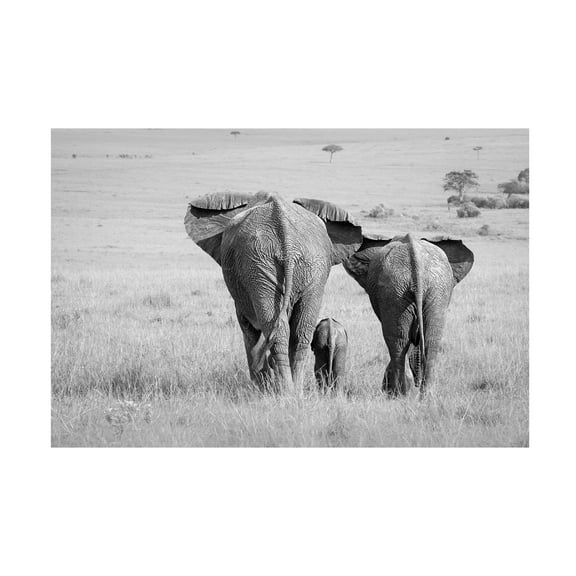 Ali Khataw 'Three Butts!' Canvas Art