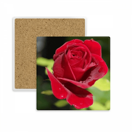 

Dark Red Roses Flowers Square Coaster Cup Mat Mug Subplate Holder Insulation Stone