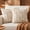Beige Pumpkin, variant on Ottowood Fall Pillow Covers 18x18 inch Set of 2, Autumn Beige Pumpkin Decorative Throw Pillow Cases, Soft Plush Faux Fur Wool Cushion Covers for Bedroom & Living Room, Farmhouse Fall Home Decor