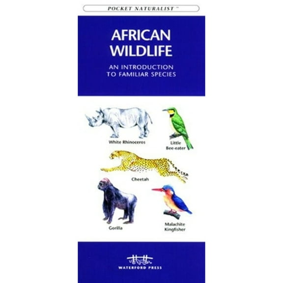 African Birds: A Folding Pocket Guide to Familiar Species