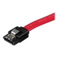 thumbnail image 3 of StarTech.com Câble SATA 12 Po - Câble SATA - Série ATA 150/300/600 - SATA (R) à SATA (R) - 1 Pi - Verrouillé - Rouge - LSATA12 - Câble SATA - Série ATA 150/300/600 - SATA (R) à SATA (R) - 1 Pi - Verrouillé - Rouge - pour P/N : Carte SATA 10p6g, Carte SATA 2p6g, Carte SATA 4p6g, 3 of 3