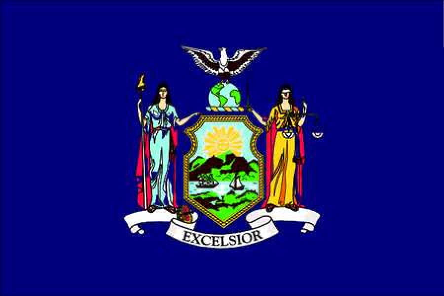 NYLGLO 143860 New York State Flag,3x5 Ft
