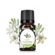 thumbnail image 3 of Aceite Aromaterapia Grado Terapéutico Aroma Soluble en Agua 10ML, 3 of 5