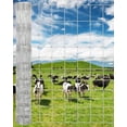 thumbnail image 1 of Clôture pour Bovins en Acier Galvanisé Robuste 6 Pi x 328 Pi à Maillons de Chaîne, Conception Résistante à la Rouille, Polyvalente, Fil de Ferme et de Cour, Clôture Roulée pour Bétail, Chèvres, Moutons, Porcs et Cerfs, 1 of 8