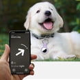 thumbnail image 3 of Sakiika2|4 Pack for AirTag Dog Collar Silicone Holder for air tagholder Cases Tags Chain for Apple for Air Tag GPS Item Finders Accessories, Black/Pink/Dark Green/Dark Blue, 3 of 6