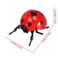 thumbnail image 4 of ICQOVD Realistic Insect Model Decorative Display Set, 4 of 8