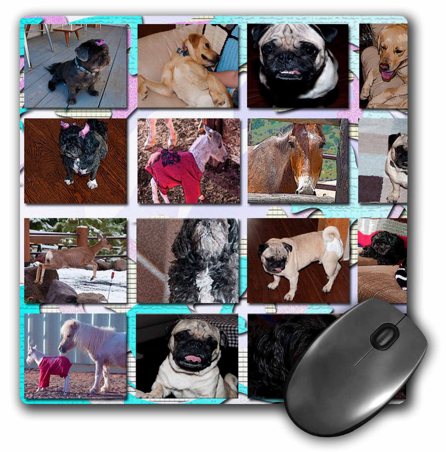 pug template button pug template button