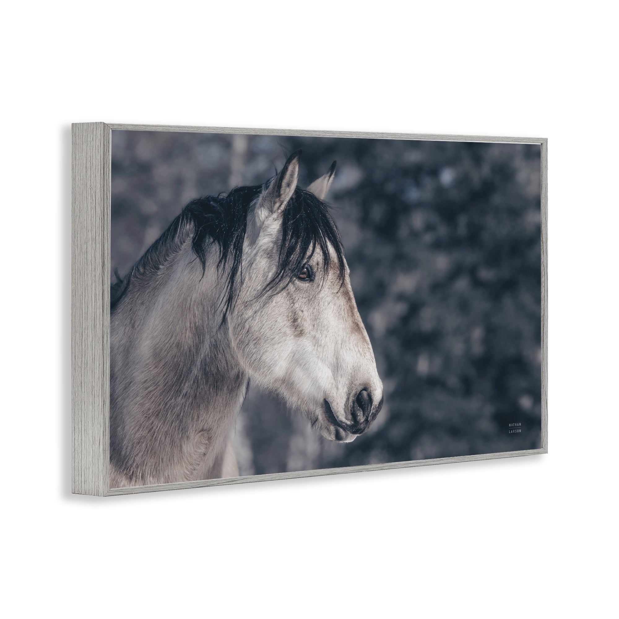 Stupell Industries Intense Gaze Stallion Animals & Insects Photography Gray Framed Art Print Wall Art, 30 x 20