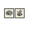 thumbnail image 2 of Metaverse Studio Mousseau 'Linen Vegetable BW Sketch B' Framed Art (Set of 2), 2 of 4