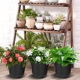 thumbnail image 3 of 10-Pcs Black 15 Gallon Circular Seedling Pots Plastic Plant Pots Seedling Cups Nursery Pots Plant Containers, 3 of 7