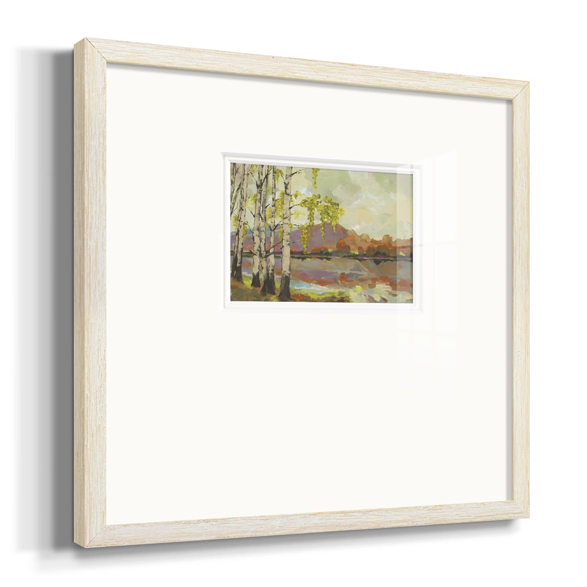 Birch StandPremium Framed Print