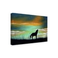 thumbnail image 2 of Trademark Fine Art 'Lone Wolf Silhouette' Canvas Art by Carol J Rupp, 2 of 3
