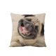 thumbnail image 1 of Precioso Gato de Dibujos Animados de Perro Funda de Almohada de Lino de Sofá Cintura Funda de Cojín Hogar Sofá Cama Decoración de Coche Zulema Funda de almohada, 1 of 2