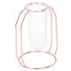 thumbnail image 3 of Carnaval de San Valentín Maceta de Planta hidropónica, florero de Vidrio de Buena decoración, Durabilidad para la Oficina de Bodas en casa(Rose Gold) Unbranded 3111200028812, 3 of 7