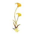 thumbnail image 1 of Bgsha 3D Mirror Flower Art Removable Wall Sticker Acrylic Mural Decal Home Room Decor, 1 of 6