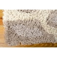 thumbnail image 2 of Nourison Splendor Beige Shag Area Rug SPL18 2'3" x 3'9", 2 of 5