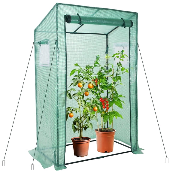 DEWEL Greenhouse, 39.3”(L) x 23.6”(W) x 66.4”(H) Greenhouses for Outdoors and Indoor, Durable Green House Kit with Window, Thicken PE Cover, Clear Mini Portable Garden Plant Green House