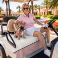 thumbnail image 3 of Golf Cart Seat Covers for 2 Seater,Pink Geometric Microfiber Cart Seat Towel Blanket,Modern Beige Color Block Black Lines Art Absorbent NonSlip Bench Seats Protector for Golf Course 51"x31", 3 of 9