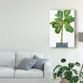thumbnail image 3 of Trademark Fine Art 'Potted Jungle IV' Canvas Art by Melissa Wang, 3 of 4