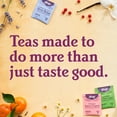 Yogi Tea Favorites Variety Pack Gift Box, Wellness Tea Bags, 6 Boxes of