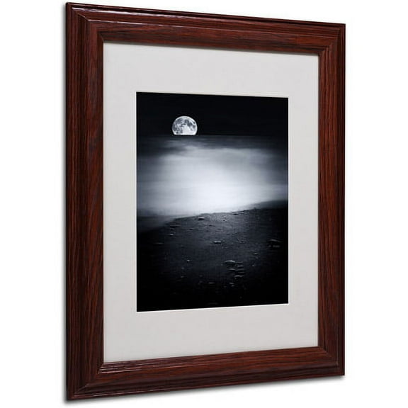 Trademark Fine Art "Black Sweat" Canvas Art by Philippe Sainte-Laudy, Wood Frame