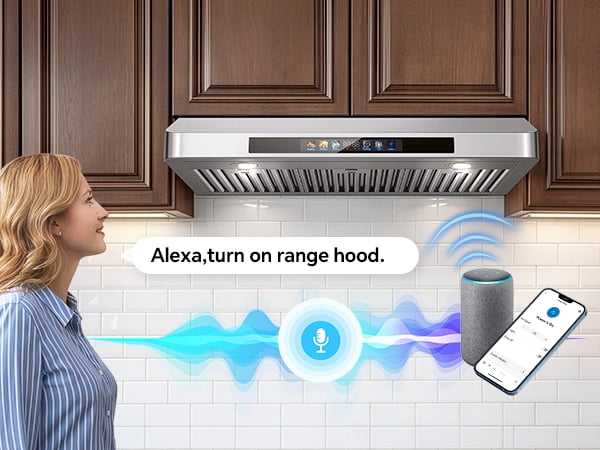 36 Inch Under Cabinet Range Hood with Voice/Gesture/Touch Control, 900 CFM Kitchen Vent Hood with 4-Speed Exhaust Fan, Stainless Steel Stove Hood with LED Lights, Baffle Filters