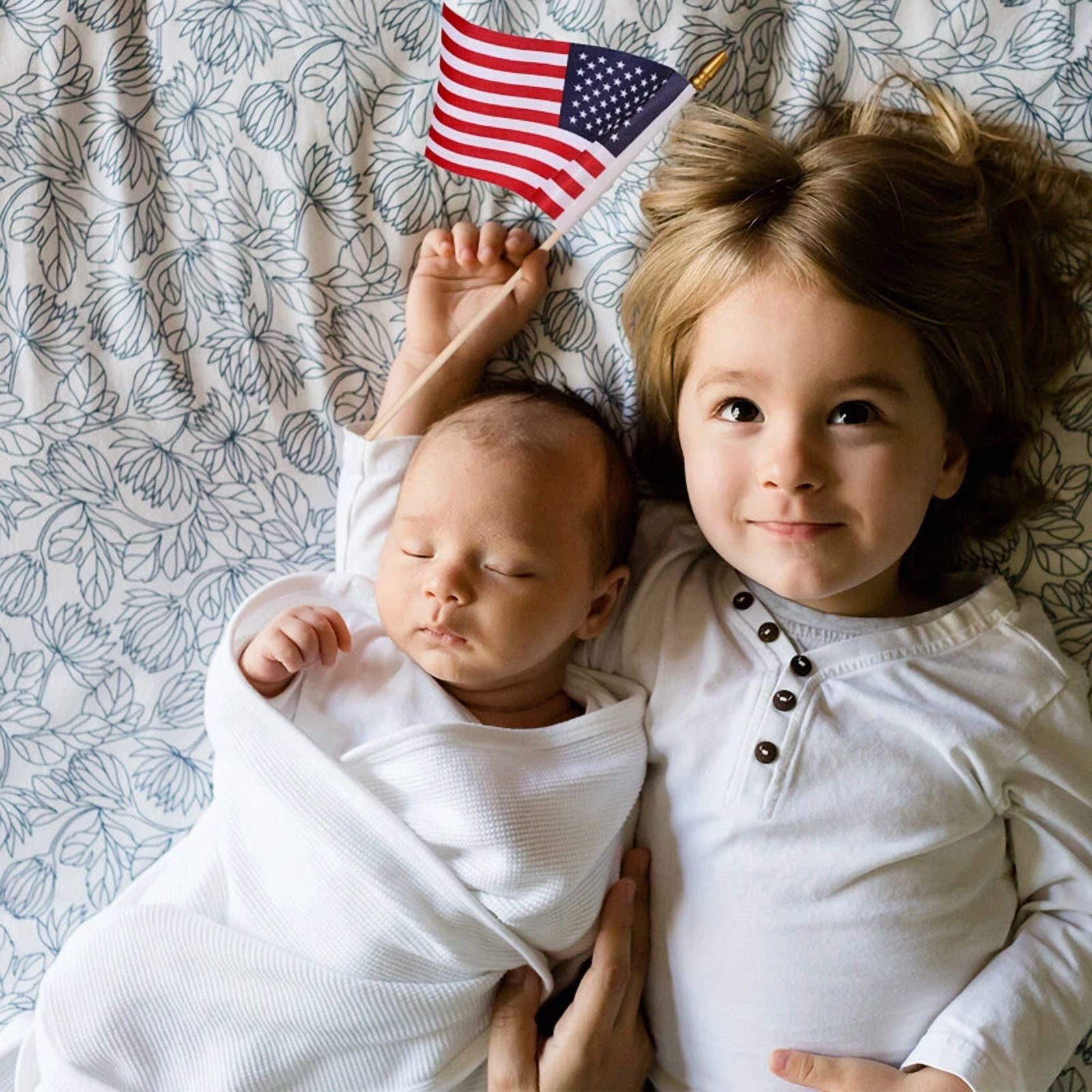 Small Us Flags Mini American Flag On Stick 4" X 6" - Small Mini American Flags